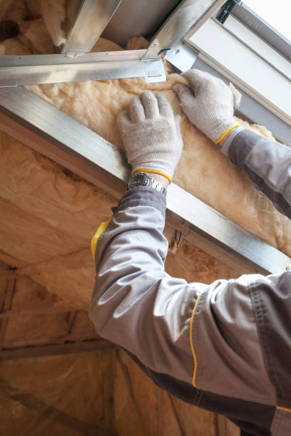 Best Eco-Friendly Insulation in Sellersburg, IN