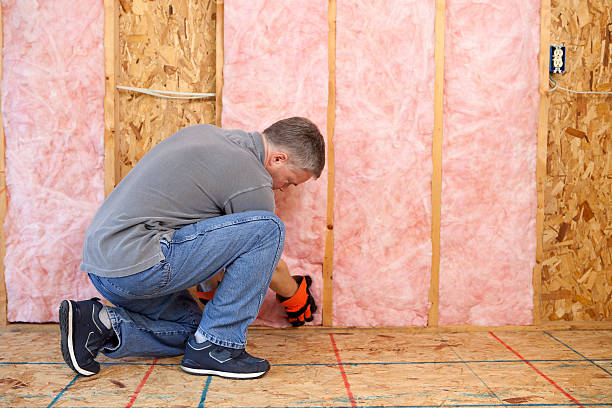 Best Eco-Friendly Insulation in Sellersburg, IN